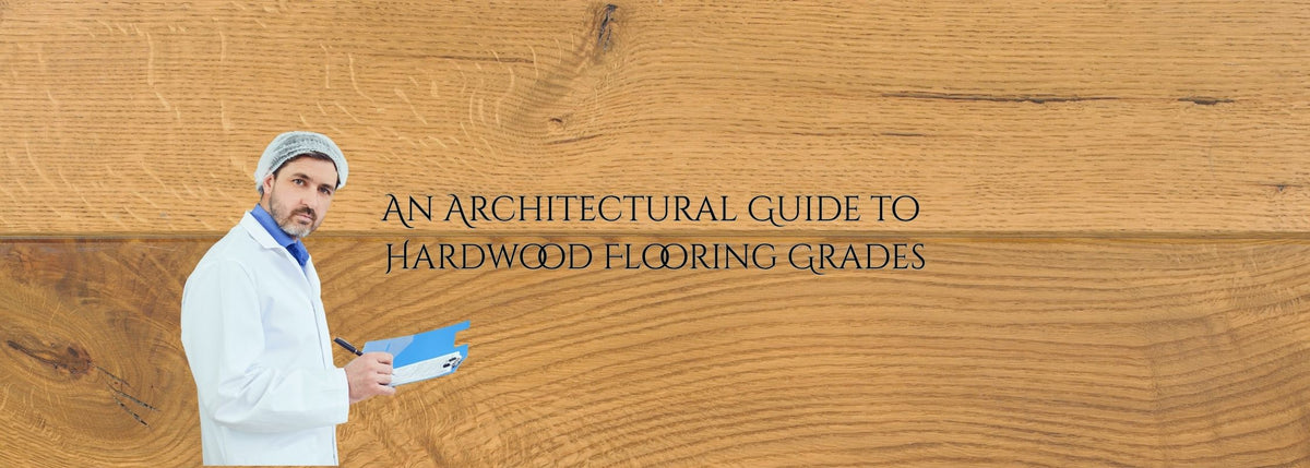 The Art of Timber Character