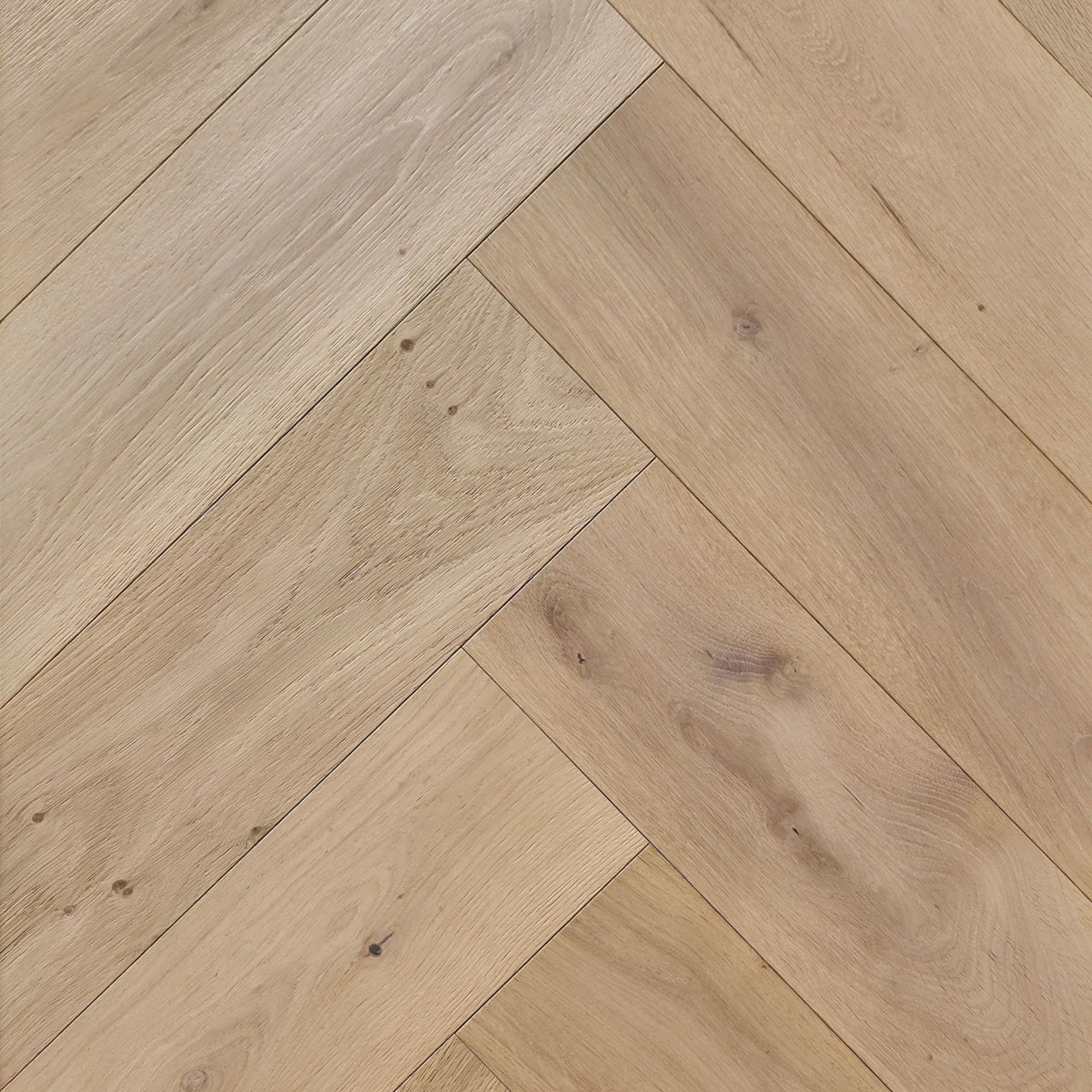 Engineered European Oak Verbier Bare - Herringbone.  Shown as a full frame image taken in natural lighting.